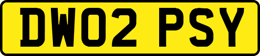 DW02PSY