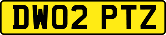 DW02PTZ