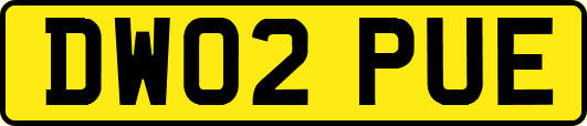 DW02PUE