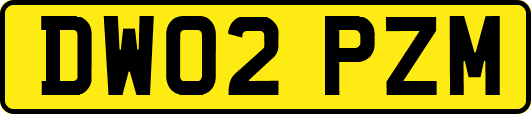 DW02PZM