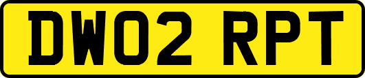 DW02RPT