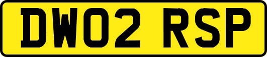 DW02RSP