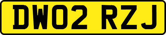 DW02RZJ