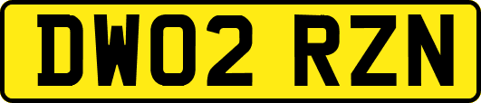 DW02RZN