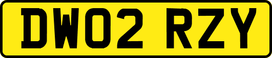 DW02RZY