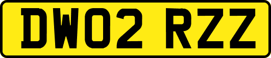 DW02RZZ