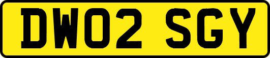 DW02SGY