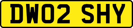 DW02SHY