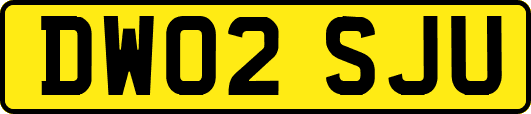 DW02SJU