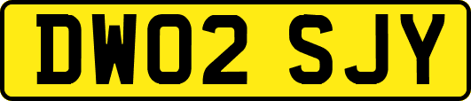 DW02SJY