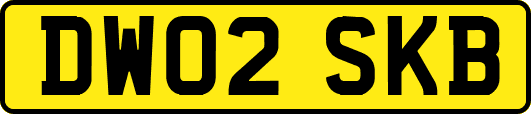 DW02SKB