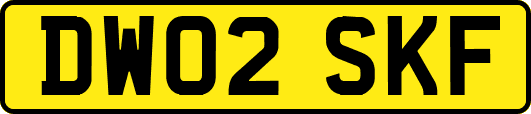 DW02SKF