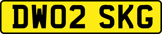 DW02SKG