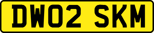 DW02SKM