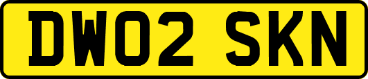 DW02SKN
