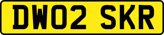 DW02SKR