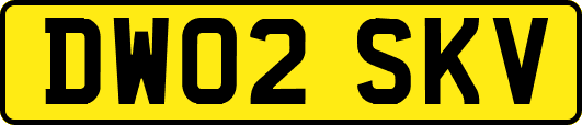 DW02SKV