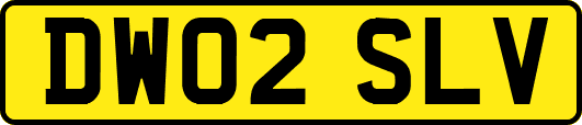 DW02SLV