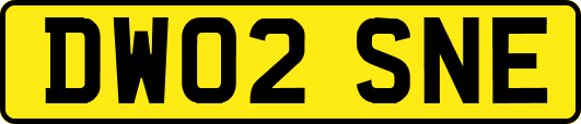 DW02SNE