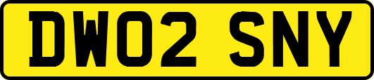 DW02SNY