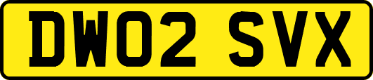 DW02SVX