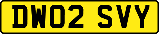 DW02SVY