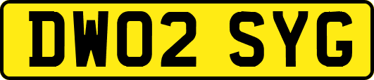 DW02SYG