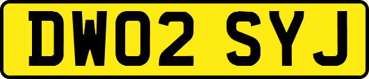 DW02SYJ