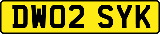 DW02SYK