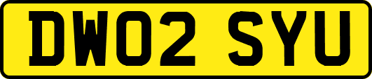 DW02SYU