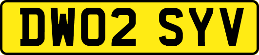 DW02SYV