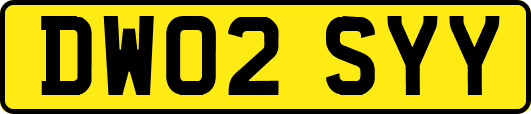 DW02SYY