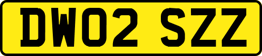 DW02SZZ