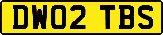 DW02TBS