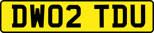 DW02TDU