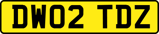 DW02TDZ