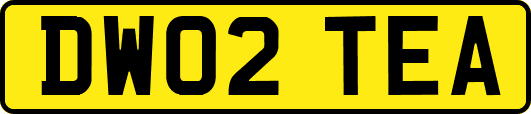 DW02TEA