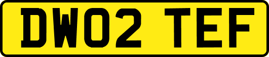 DW02TEF