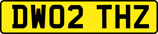 DW02THZ