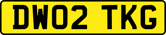 DW02TKG