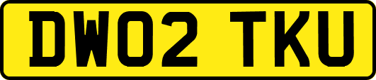 DW02TKU