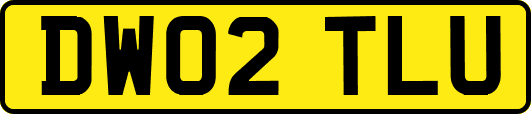 DW02TLU