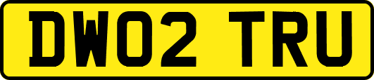 DW02TRU