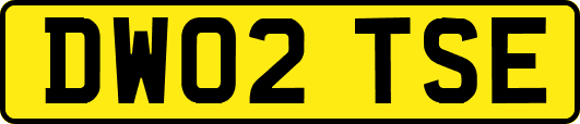 DW02TSE