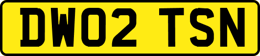 DW02TSN