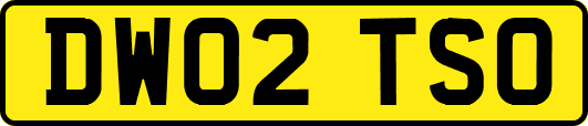 DW02TSO