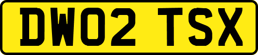 DW02TSX
