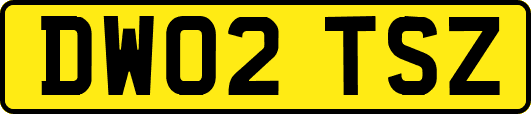 DW02TSZ