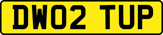 DW02TUP
