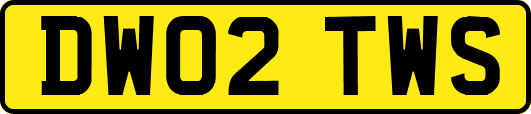 DW02TWS